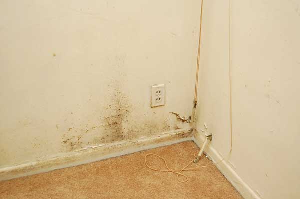 capilaridad capilaridad