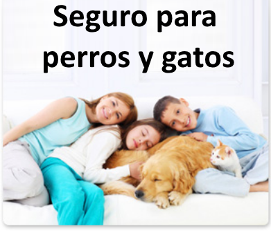 Seguro para Mascotas Seguro para Mascotas