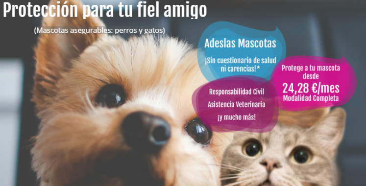 Seguro de Mascotas Seguro de Mascotas